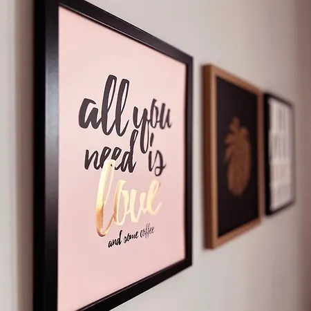 White View Rose * كارباش